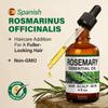 KUKKA Rosemary Essential Oils - 4 Fl Oz - for Hair, Skin, Diffuser, Aromatherapy & DIY Soap Making Scent view 3