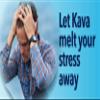 Enjoy Kava Pure Noble Kava Kava Root Powder (Pack of 1 x 1/2 Lb) Relaxation of Mind & Body | BulkKava.com view 3