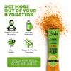 Bala Enzyme - Total Body Wellness Drink Mix - Lime Flavor - Hydrate & Recover with Electrolytes, Turmeric & Amino Acids - 0.25oz (12 Count) view 4