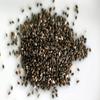 Bulk Chia Seeds 25 Pound Wholesale Box of Fresh Seeds view 1