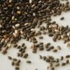 Bulk Chia Seeds 25 Pound Wholesale Box of Fresh Seeds view 4