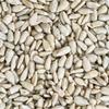 Bulk Sunflower Seeds 10 Pound Wholesale Box view 3