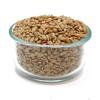 Bulk Roasted And Salted Sunflower Seeds 10 Pound Wholesale Box view 2
