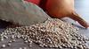 Bulk Quinoa 10 Pound Wholesale Value Box view 2
