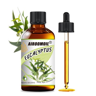 Airoomoil Eucalyptus Essential Oil 4 fl oz, 100% Pure Undiluted Single Note Oil for Shower Steam, Diffuser, Laundry & DIY Cleaning, Aromatherapy, Large Bottle for Home & Daily Use