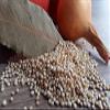 Bulk Quinoa 25 Pound Wholesale Box view 2
