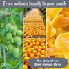Oh! Nuts Dried Mango - 1 lb - Dried Fruit Slices - Less Sugar Added - Dehydrated Fruit Bites - Packed in New York Zip-Seal Bag for Exceptional Freshness view 4