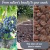 Oh! Nuts Black Raisins - 1 lb - Dried Fruit - No Sugar Added - Dehydrated Fruit Bites - Packed in New York Zip-Seal Bag for Exceptional Freshness view 4