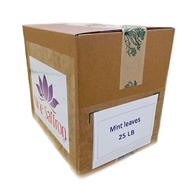 Bulk Seasoning Cooking Herbs (Mint Leaves)