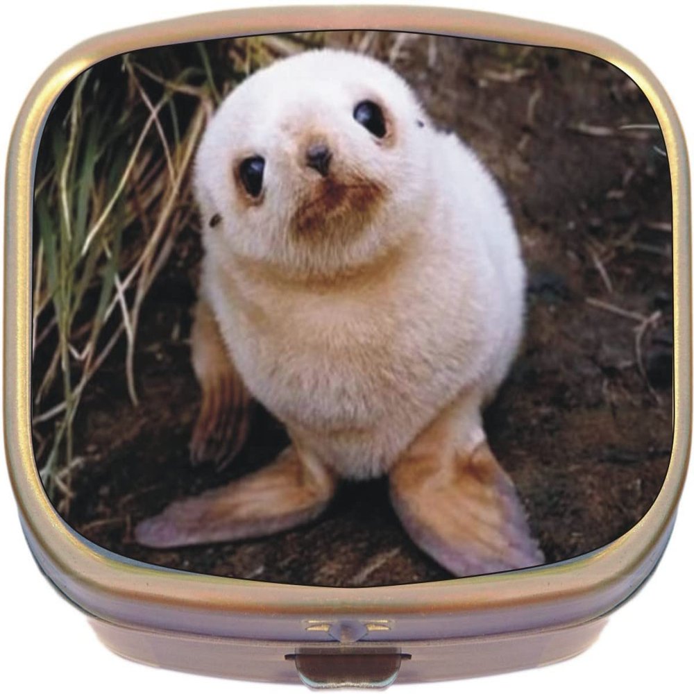 Baby Seal Brass Rectangle Pill Box