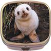 Baby Seal Brass Rectangle Pill Box view 1
