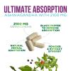Ashwagandha Supplements 2100mg - 3X Strength Ashwagandha Powder & Root Extract with Black Pepper for Max Absorption, Antioxidant Supplements for Women & Men, Vegan, Bottled in USA - 60 Capsules view 3