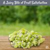 Oh! Nuts Dried Kiwi - 1 LB - Sweetened Dried Fruit Diced - Dehydrated Fruit Bites - Packed in New York Zip-Seal Bag for Exceptional Freshness view 3