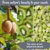 Oh! Nuts Dried Kiwi - 1 LB - Sweetened Dried Fruit Diced - Dehydrated Fruit Bites - Packed in New York Zip-Seal Bag for Exceptional Freshness view 4