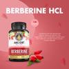 Ancient Bliss Berberine HCL 1200mg with Ceylon Cinnamon, Bitter Melon, and Green Tea Extract - 120 Capsules view 2