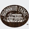 Brownwood Farms Flavored Ketchup with Bourbon, Made in Small Batches, Gluten Free and Delicious, From the Great Lakes Region (Dill Pickle, 14 Ounce) view 4