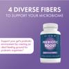 BIOHM Prebiotic Fiber Supplement (60 Capsules) 4 Diverse Dietary Fibers to Support Probiotic Environment, Helps Improve Gut Health and Immune System, Includes Inulin & Apple Pectin Powder view 2