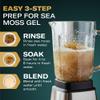 TrueSeaMoss Raw Gold Irish Sea Moss  Premium Wildcrafted & Sun-Dried Seaweed  Extra Dry Texture, Vegan, Non-GMO, Gluten-Free  16oz (1 lb) Makes Up to 200oz Gel  Atlantic Harvested view 4