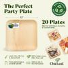 Chic Leaf Palm Leaf Disposable Bamboo Plates  Square, Biodegradable & Compostable Party Plates for Weddings, Parties & Events, Rustic Table Setting (10", 20 Pack) view 2