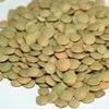 Lentils 25 Pounds - Columbia Bean Brand view 1