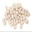 Navy Beans 25 Pounds - Columbia Bean Brand