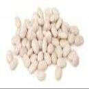 Navy Beans 25 Pounds - Columbia Bean Brand