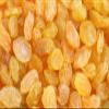 Bulk Golden Raisins 25 Pound Wholesale Box view 2