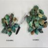 1/2 LB Rough Chrysocolla Crystals Bulk Raw Gemstones - Healing Crystals view 3