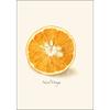 Earth Sky + Water - Citrus Assortment Notecard Set - 8 Blank Cards with Envelopes (4 each of 2 styles) view 2