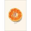 Earth Sky + Water - Citrus Assortment Notecard Set - 8 Blank Cards with Envelopes (4 each of 2 styles) view 3