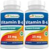 Best Naturals Vitamin B6 25mg 250 Tablets (250 Count (Pack of 2)) view 1
