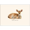 Earth Sky + Water - White-tailed Deer Notecard Set - 8 Blank Cards with Envelopes view 2