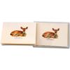 Earth Sky + Water - White-tailed Deer Notecard Set - 8 Blank Cards with Envelopes view 3
