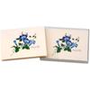 Earth Sky + Water - Morning Glories Notecard Set - 8 Blank Cards with Envelopes view 3