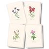 Earth Sky + Water - Meadow Wildflower Assortment Notecard Set - 8 Blank Cards with Envelopes (2 each of 4 styles) view 1
