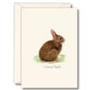 Earth Sky + Water - Cottontail Rabbit Notecard Set - 8 Blank Cards with Envelopes view 1