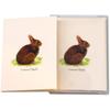 Earth Sky + Water - Cottontail Rabbit Notecard Set - 8 Blank Cards with Envelopes view 3