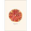 Earth Sky + Water - Pomegranate Assortment Notecard Set - 8 Blank Cards with Envelopes (4 each of 2 styles) view 2