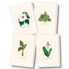 Earth Sky + Water - Woodland Wildflower Assortment Notecard Set - 8 Blank Cards with Envelopes (2 each of 4 styles) view 1