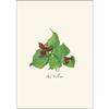 Earth Sky + Water - Woodland Wildflower Assortment Notecard Set - 8 Blank Cards with Envelopes (2 each of 4 styles) view 4