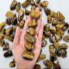 1/2 LB Tumbled Golden Tigers Eye Crystals Bulk 1" to 2" Large Polished Healing Stones view 3
