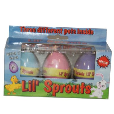 Harvey J Lil' Sprouts Eggs