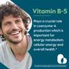 BESTVITE Pantothenic Acid 500mg (Vitamin B5)(240 Vegetarian Capsules) - No Stearates - No Gelatin - No Calcium Silicate - Vegan - Non GMO - Gluten Free view 4
