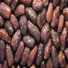 Bulk Medjool Dates 10 Pound Wholesale Box view 3