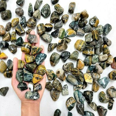 1/2 LB Tumbled Sea Jasper Crystals Bulk Orbicular Jasper Stones Polished Gems Tumbles