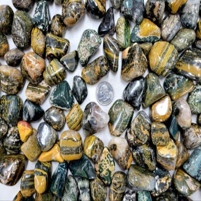 1 LB Tumbled Sea Jasper Crystals Bulk Orbicular Jasper Stones Polished Gems Tumbles