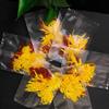 Chrysanthemum Goji tea Bags 2.11oz (30bags) combined flower and grass tea golden silk Huangju red medlar tea 60g view 2