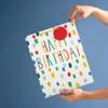 Hallmark Birthday Gift Bag Bundle - 2 Large Gift Bags in 1 Bright Colourful Design view 2