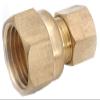 710066-0404 .25 in. Male Compression x .25 in. Female Iron Pipe Adapter view 1