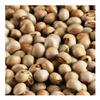 My Favorite Deals 50 Organic Gandules, Pigeon Peas (Cajanus cajan) Seeds view 2